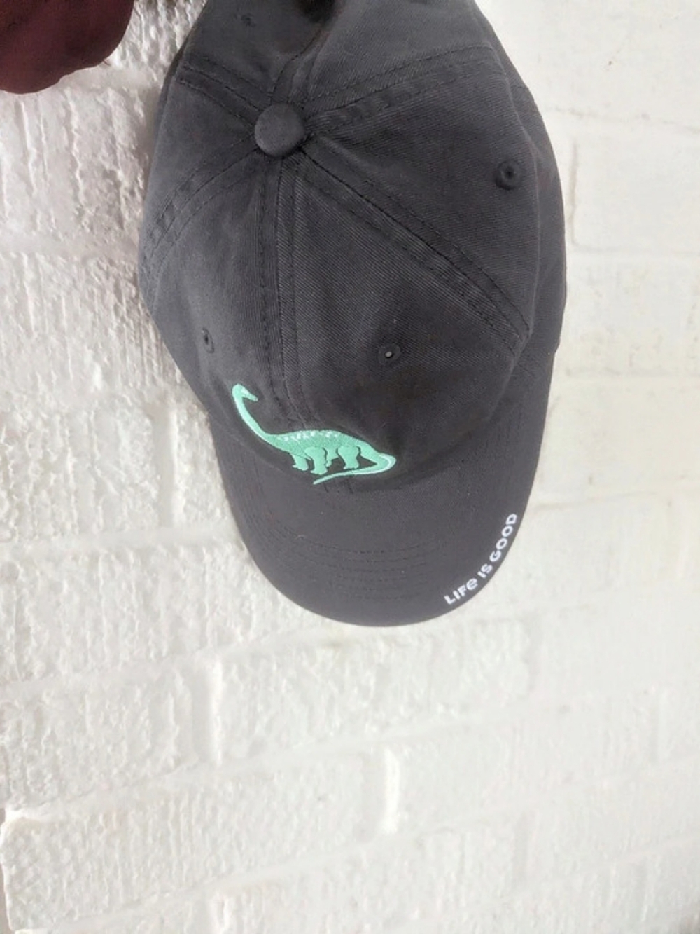 Life is Good Kids Dinosaur Friends Chill Cap Black & Green Youth M/L